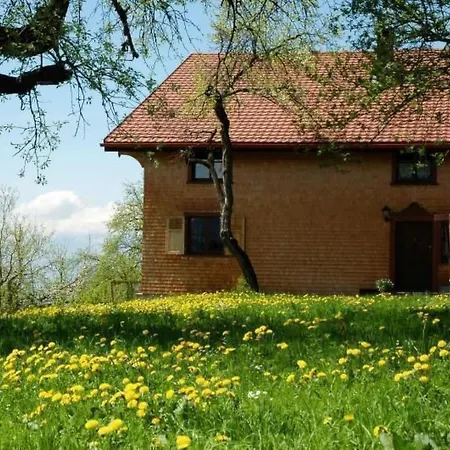 Duenser In Duenserberg By Interhome * בורסרברג