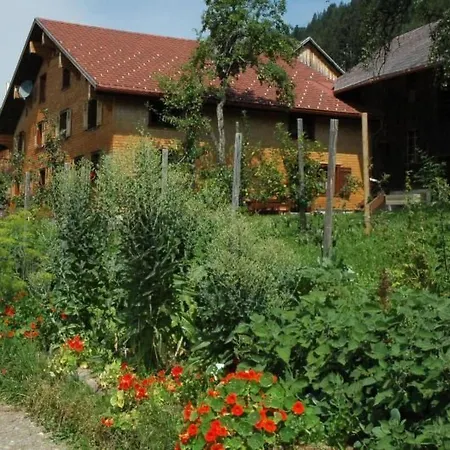Duenser In Duenserberg By Interhome בית נופש בורסרברג