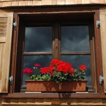 בית נופש Duenser In Duenserberg By Interhome בורסרברג