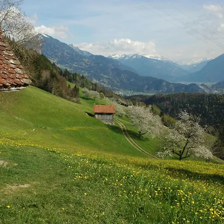 Duenser In Duenserberg By Interhome Vakantiehuis