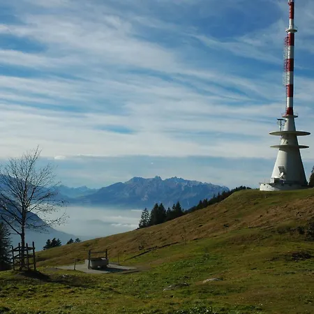 Duenser In Duenserberg By Interhome